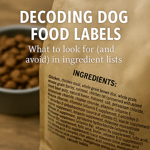 Decoding Dog Food Labels