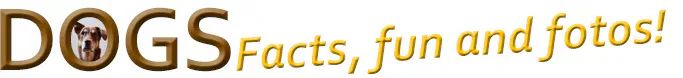Dogs Facts Fun and Fotos, your source for everything about our best friends!